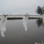 Rijp aan prikkeldraad