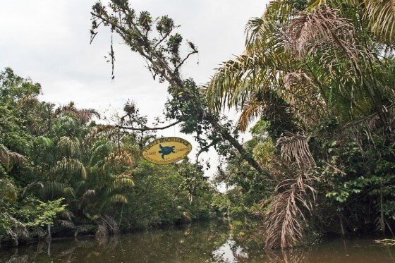 Tortuguero Turtle Beach Lodge