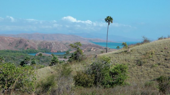 Uitzicht over Rinca in Indonesie