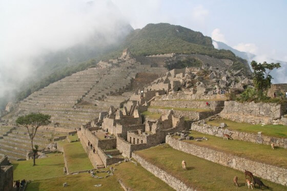 Machu Pichu