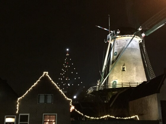 Grootste kerstboom