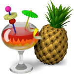 Dvd’s back-uppen [MAC OSx Sierra]